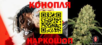 мдпв Аргун